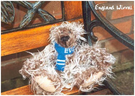 Evertonfan
