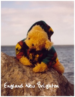 Fuzzel