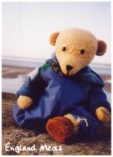Teddy