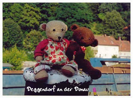 Teddy 2