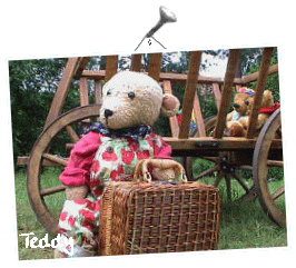 Teddy