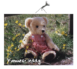Yvonnesbärchen