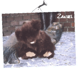 Zausel