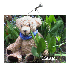 Zausel